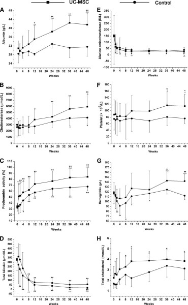 UC-MSC 輸血對(duì)肝功能的影響。