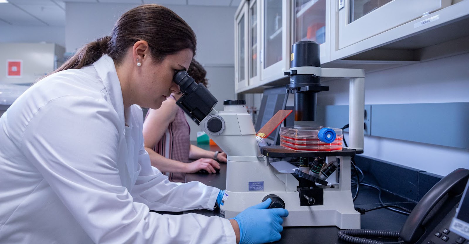 在干細胞用于治療之前，必須對其進行適當的激活和培養。