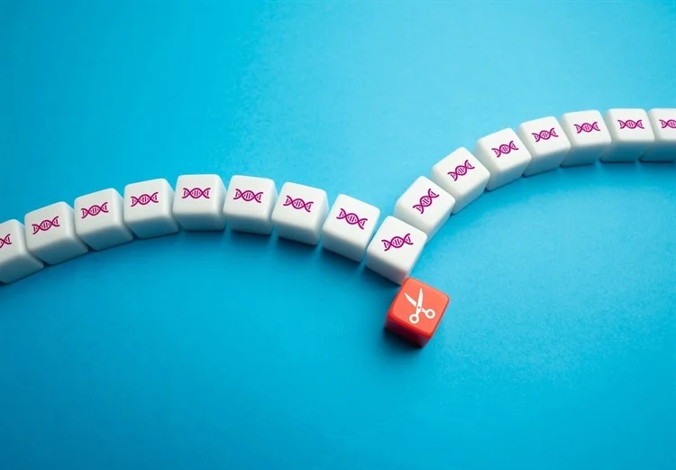 科學家利用尖端干細胞和基因編輯技術推進1型糖尿病治療