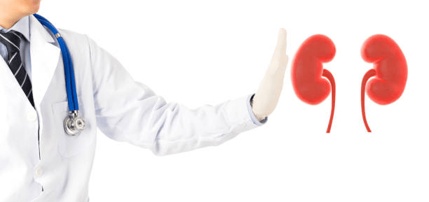 胚胎、誘導(dǎo)多能、內(nèi)皮祖、間充質(zhì)干細(xì)胞治療腎臟疾病的研究進(jìn)展