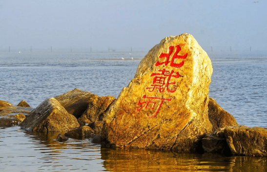 院士領銜，細胞療法“駛入”北戴河！療養勝地開啟醫療創新新篇章