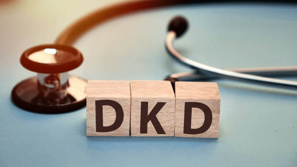 4類間充質干細胞及其衍生的外泌體在糖尿病腎病中的作用