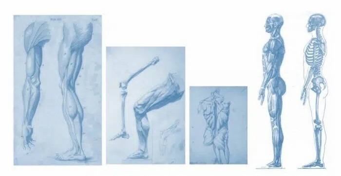 運動系統疾病如何治療？間充質干細胞的治療效果怎么樣？