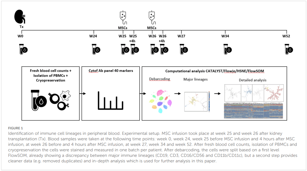 研究設(shè)計概述