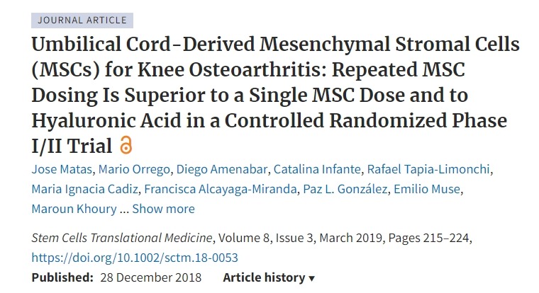 臍帶來源的間充質(zhì)基質(zhì)細胞 (MSC) 治療膝關節(jié)骨關節(jié)炎