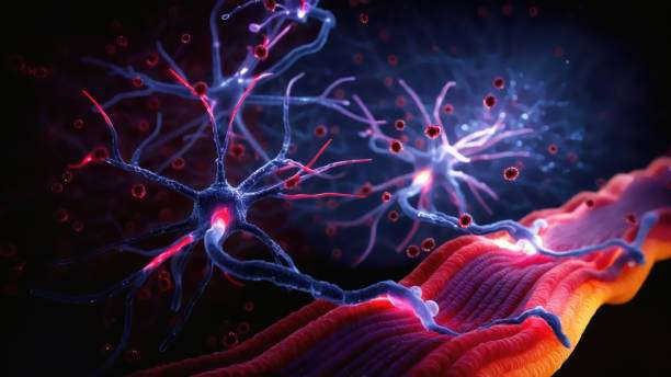 面對眾說紛紜的干細胞治療帕金森病，我們的期望是什么？