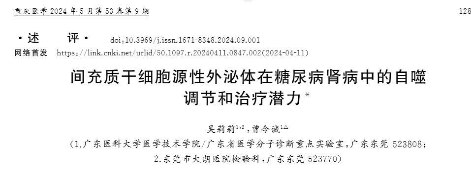間充質干細胞源性外泌體在糖尿病腎病中的自噬調節和治療潛力