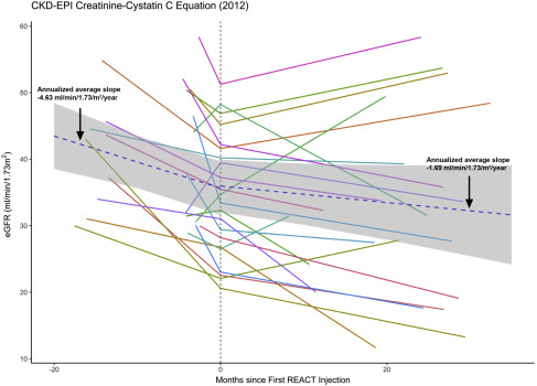 圖1：eGFR（肌酐和胱抑素 C，2012CKD-EPI）對SRC注射的反應。
