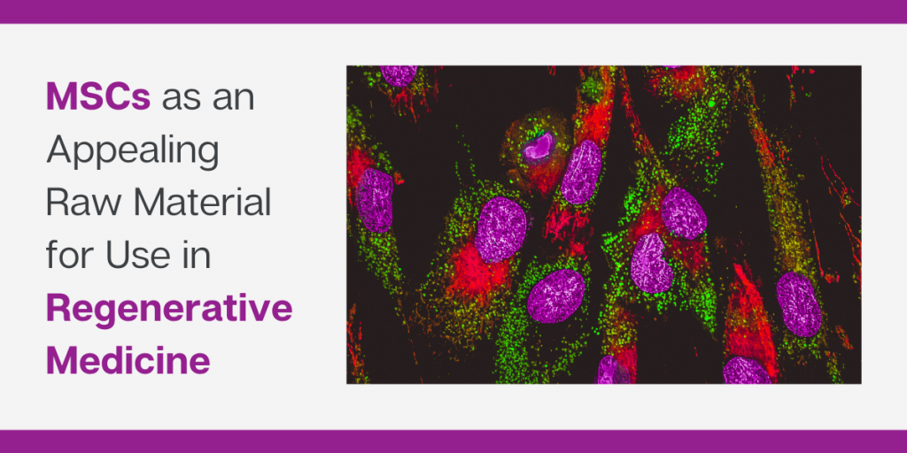 間充質干細胞是再生醫學領域極具吸引力的原材料