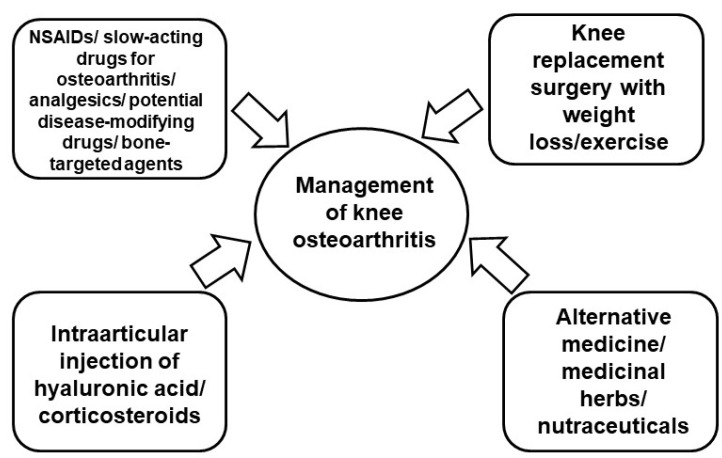 圖2：膝骨關節炎的當前治療策略。