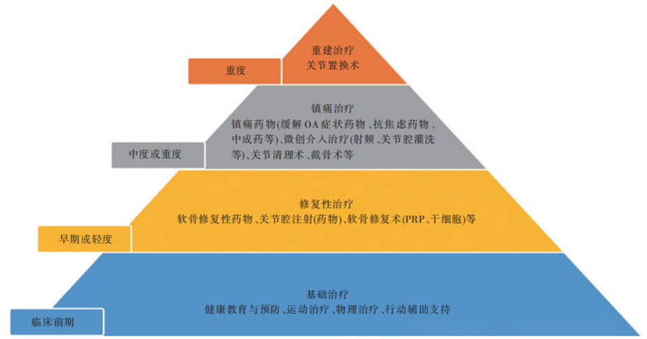 中國骨關節炎診療指南（2024 版）