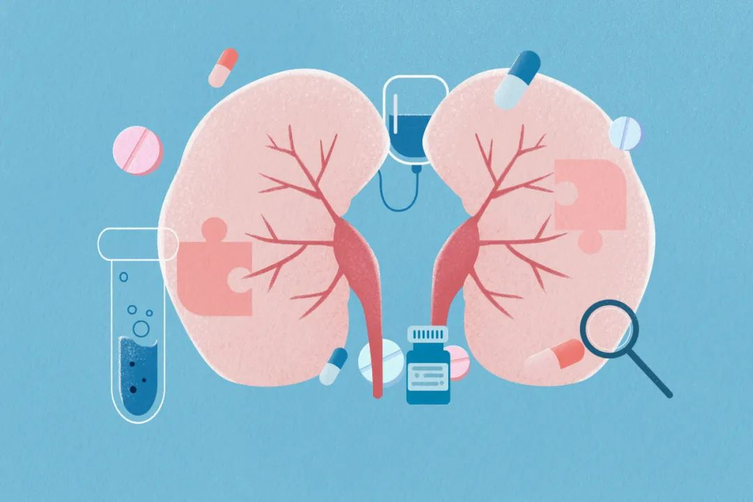 直擊腎科難題！解密干細(xì)胞如何重塑腎病患者腎小球?yàn)V過率