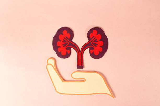 再生醫學vs藥理干預：干細胞與藥物在腎病治療中的療效對比