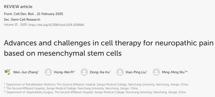 基于間充質(zhì)干細(xì)胞的神經(jīng)性疼痛細(xì)胞治療進(jìn)展與挑戰(zhàn)