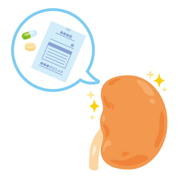 間充質(zhì)干細(xì)胞治療腎病的獨特優(yōu)勢：5項臨床驗證患者腎功能改善