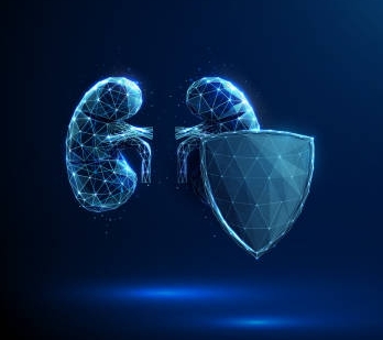 干細胞療法能否長期穩(wěn)定腎病腎功能？103例患者8年數(shù)據(jù)揭秘