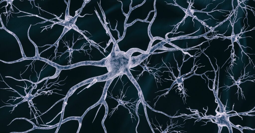 神經干細胞移植在神經退行性疾病治療和藥物開發中的作用