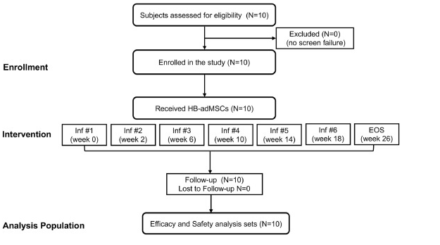 中型擴展訪問計劃的 CONSORT 流程圖