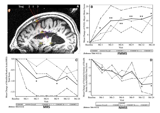 24 個月隨訪的臨床結(jié)果
