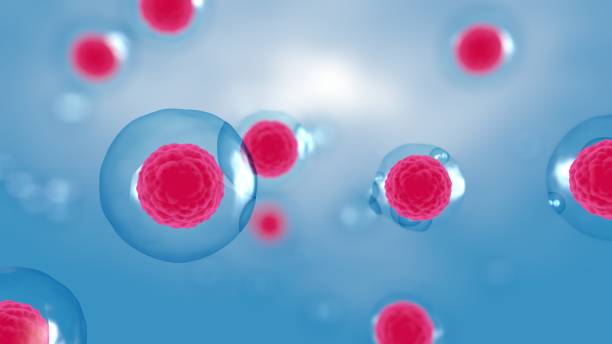 間充質干細胞雙機制協同：免疫調節＋旁分泌活性解鎖自身免疫疾病治療新維度