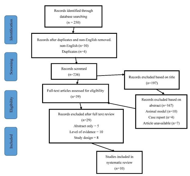 圖1：研究識別和選擇的流程圖-PRISMA圖（PRISMA，系統評價和薈萃分析的首選報告項目）。