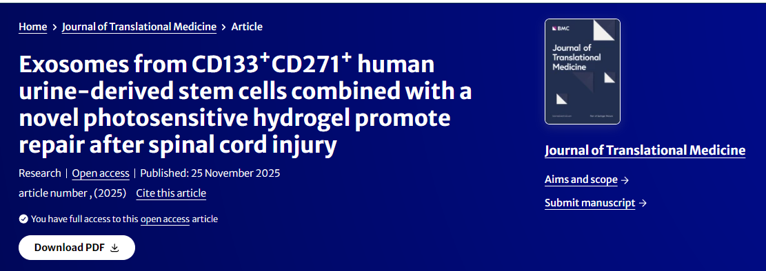來自CD133?
+CD271+人尿源干細(xì)胞的外泌體與新型光敏水凝膠聯(lián)合使用可促進(jìn)脊髓損傷后的修復(fù)