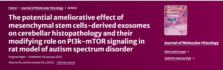 間充質干細胞衍生的外泌體對自閉癥譜系障礙大鼠小腦組織病理學的潛在改善作用及其對 PI3k-mTOR 信號傳導的調節作用