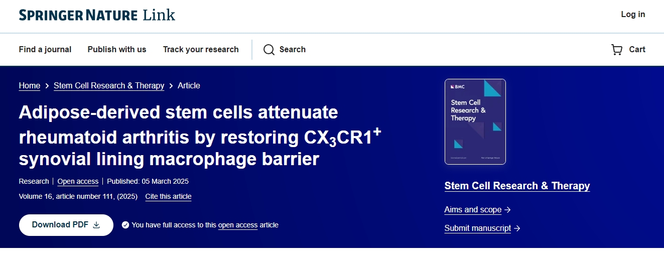 脂肪干細(xì)胞通過(guò)恢復(fù) CX3CR1+滑膜內(nèi)層巨噬細(xì)胞屏障減輕類(lèi)風(fēng)濕性關(guān)節(jié)炎