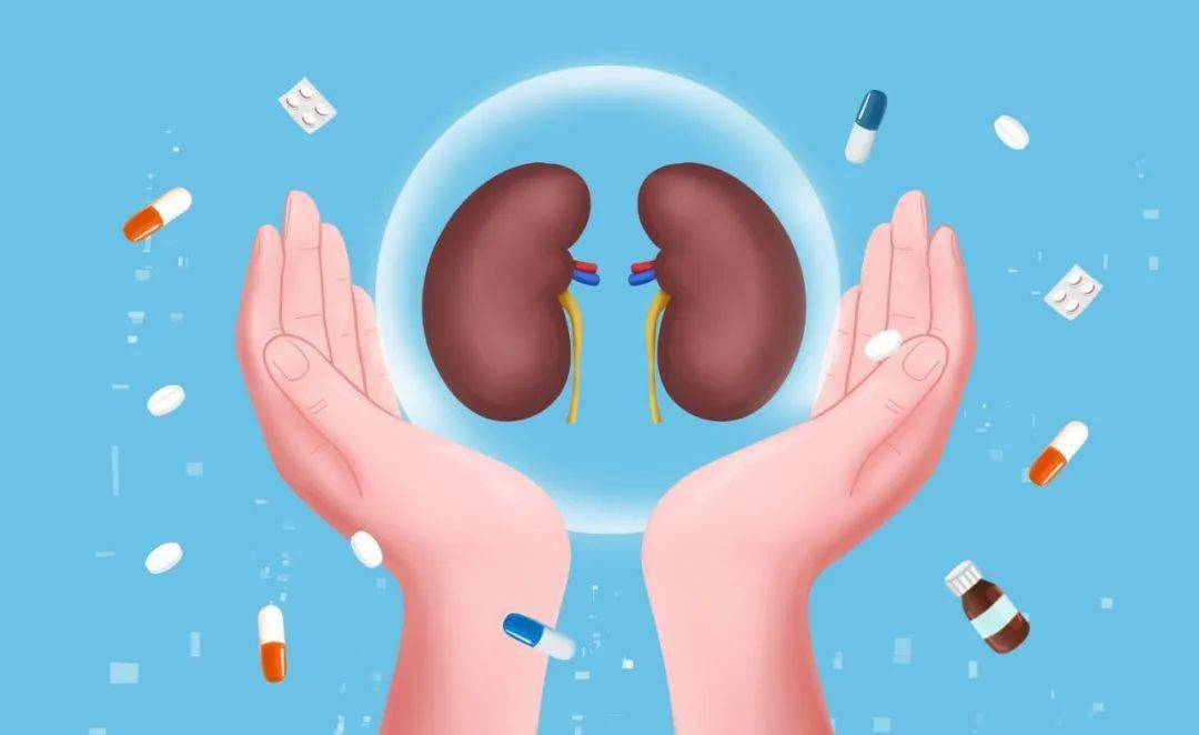 干細(xì)胞治療腎病國家叫停了？科學(xué)爭議與政策博弈背后的真相