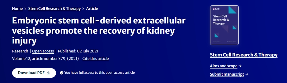 胚胎干細(xì)胞來(lái)源的細(xì)胞外囊泡促進(jìn)腎臟損傷的恢復(fù)