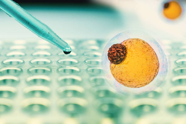 人工干細(xì)胞治療腎病的臨床應(yīng)用