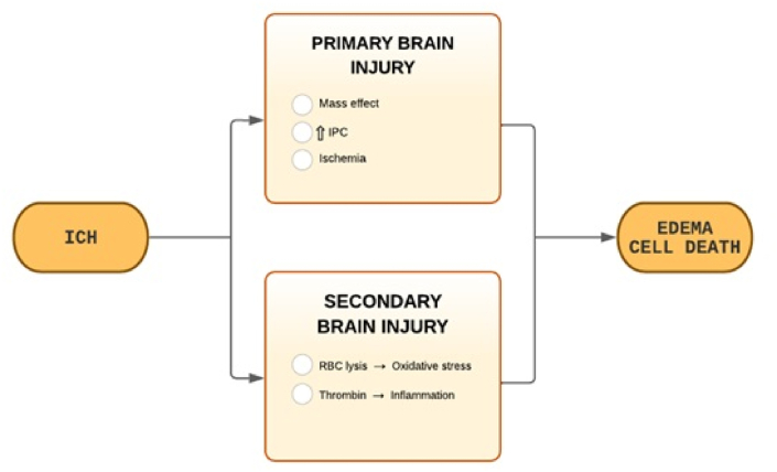 圖1：ICH病理生理學(xué)。
