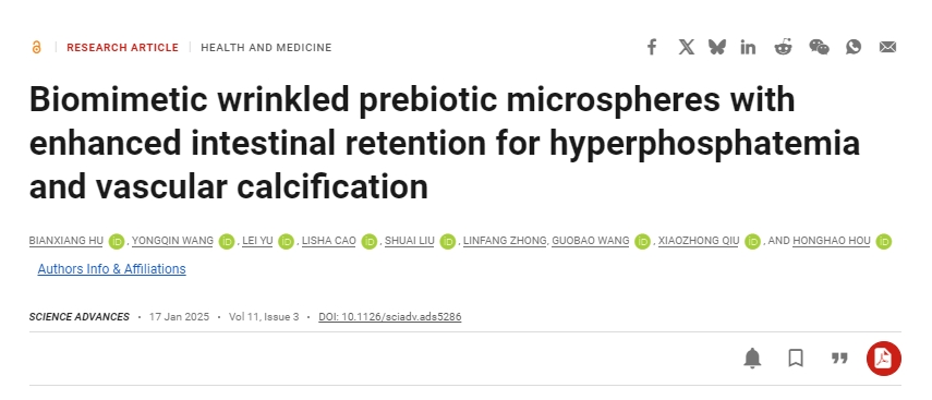 仿生皺紋益生元微球增強(qiáng)腸道保留，用于治療高磷血癥和血管鈣化