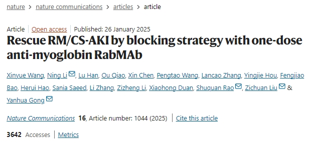 通過單劑量抗肌紅蛋白RabMAb阻斷策略挽救橫紋肌溶解癥或擠壓綜合征相關急性腎損傷