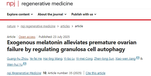 外源性褪黑素通過調控顆粒細胞自噬緩解卵巢早衰的機制研究