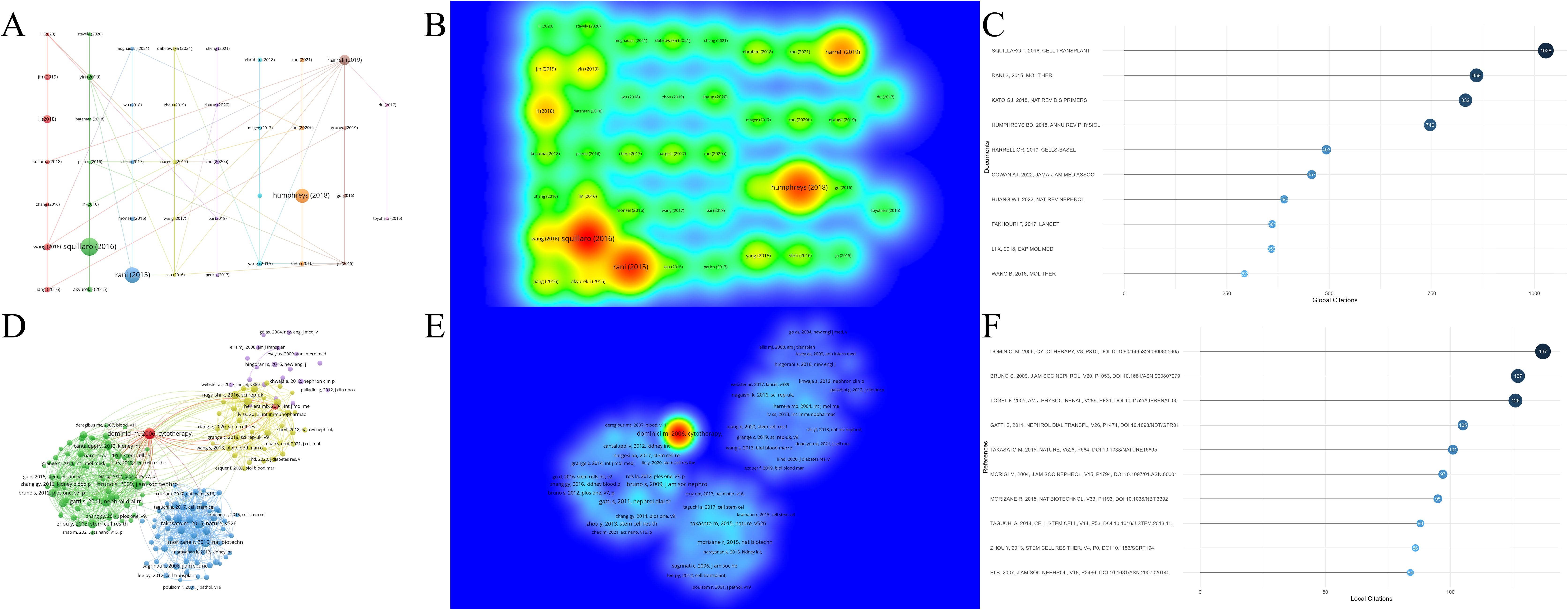 圖7：腎臟疾病干細胞治療研究中被引文獻及參考文獻分析。