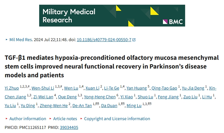 TGF-β1介導(dǎo)缺氧預(yù)處理的嗅黏膜間充質(zhì)干細(xì)胞改善帕金森病模型和患者的神經(jīng)功能恢復(fù)