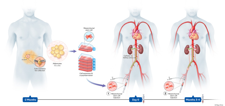 圖1：研究示意圖