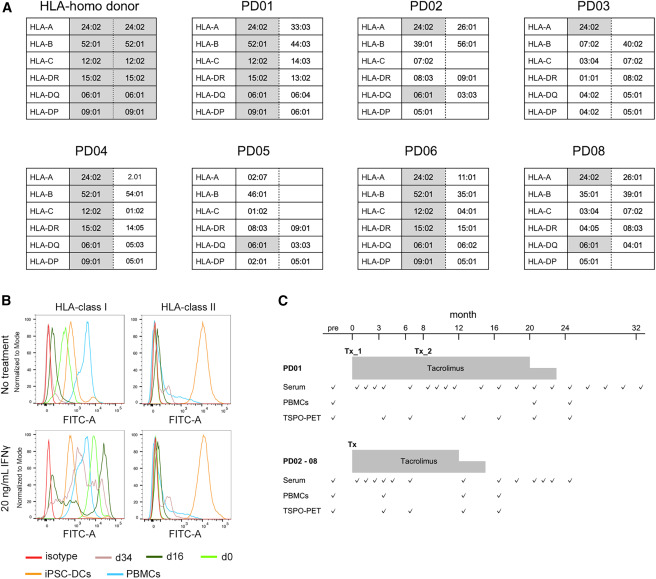 圖1：供體細(xì)胞和受體的HLA特征及免疫抑制方案