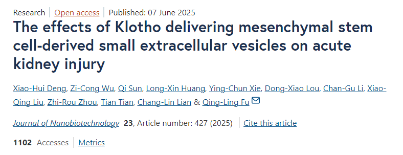 Klotho遞送間充質(zhì)干細(xì)胞來源的小細(xì)胞外囊泡對(duì)急性腎損傷的影響