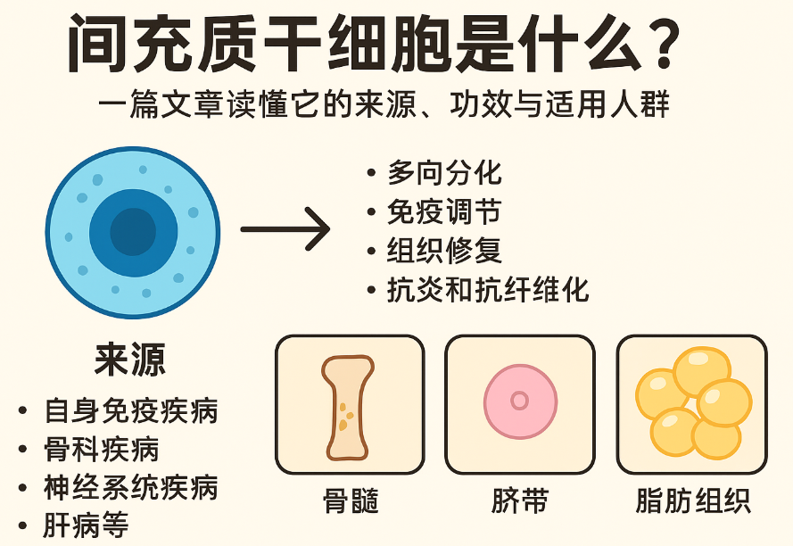 間充質干細胞是什么？一篇文章讀懂它的來源、功效與適用人群