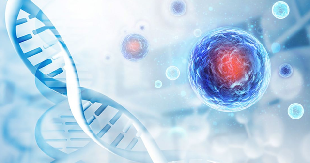 間充質干細胞療法