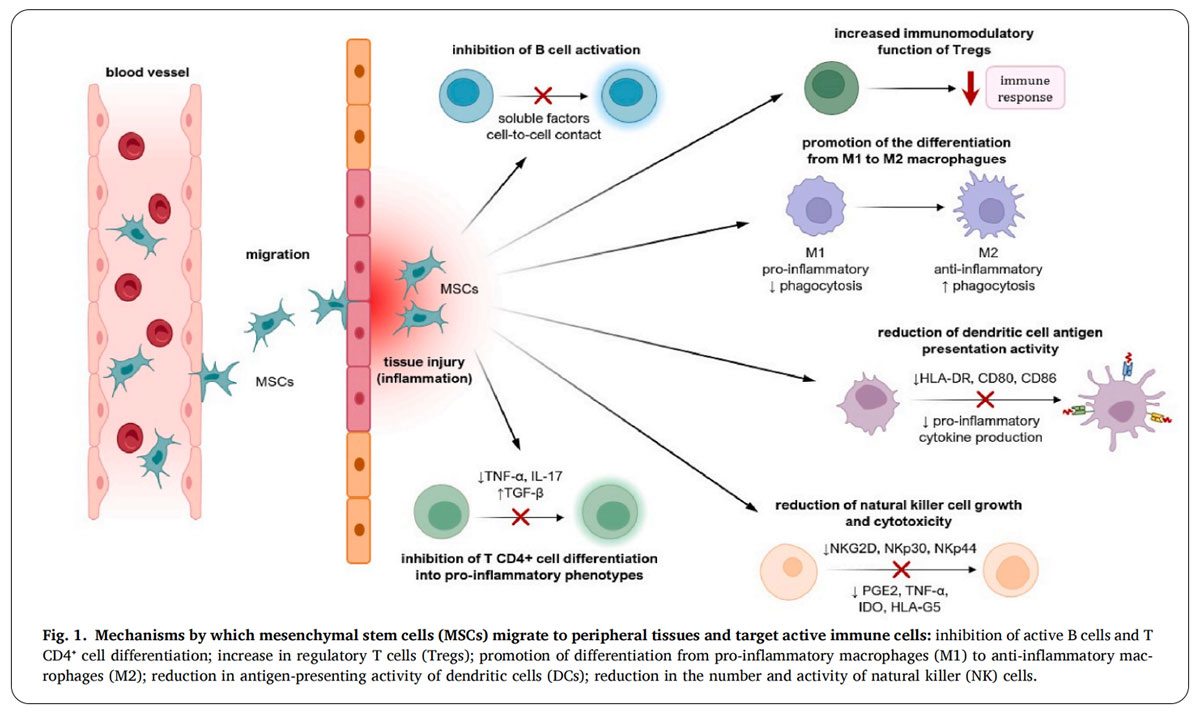 紅斑狼瘡臨床試驗(yàn)