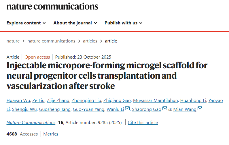 用于中風后神經祖細胞移植和血管化的可注射微孔形成微凝膠支 用于中風后神經祖細胞移植和血管化的可注射微孔形成微凝膠支